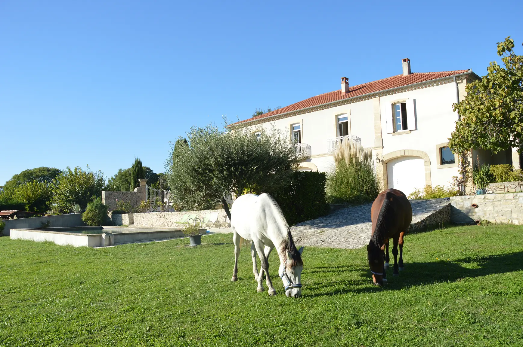 Property View With Horses